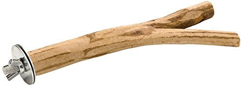 Beeztees Sitzstange aus Naturholz für Vögel und Papageien 20 cm - 20 cm – Bild 1 von 3