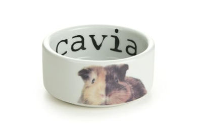 Beeztees Snapshot Keramik-Futternapf für Meerschweinchen Weiß 10 x 4 cm – Bild 1 von 2