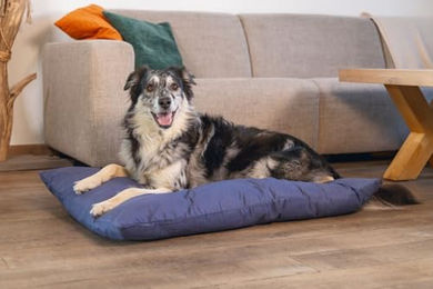 Beeztees Sofix Hundebett Blau 100x70 cm – Bild 1 von 5