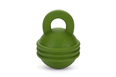 Beeztees Sumo Kettlebell Intelligenzspielzeug für Hunde aus Gummi Grün 16x12x12 cm – Bild 1 von 3