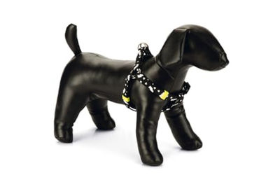 Produktbild von Beeztees Thunder Hundegeschirr aus Nylon in Schwarz 26-40 cm x 10 mm