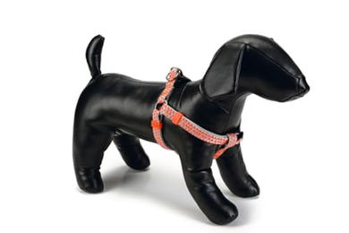 Produktbild von Beeztees Triangle Nylongeschirr für Hunde Hellgrau 35-60 x 1.5 cm