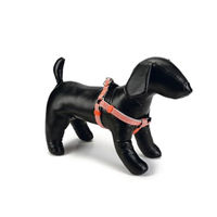 Produktbild von Beeztees Triangle Nylongeschirr für Hunde Hellgrau 35-60 x 1.5 cm
