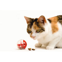 Produktbild von Beeztees Twirly Snackball für Katzen aus Kunststoff in Rot 5,5 cm