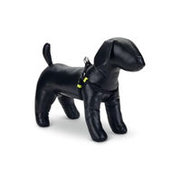 Produktbild von Beeztees Uni Hundegeschirr Schwarz 35-60 cm x 15 mm
