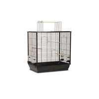 Produktbild von Beeztees Vogelkäfig Fiona XXL offen schwarz Metall 70 x 40 x 80 cm