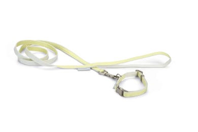 Beeztees Welpen-Set aus Nylon mit Halsband und Leine in Gelb Größe XS für kleine Hunde und Katzen – Bild 1 von 8