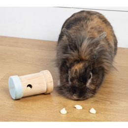 Beeztees Yumzi Snackrolle Intelligenzspielzeug aus Holz für Kaninchen in Grün und Bunt – Bild 1 von 3