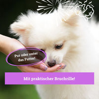 Produktbild von BeG Buddy Coolness Drops Natürliche Beruhigung für Hunde für alle Altersstufen 1000 mg