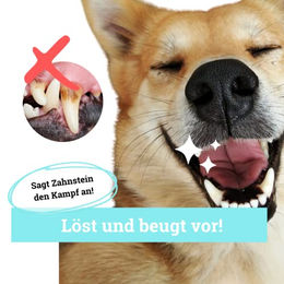 BeG Buddy Dentalspray zur Zahnpflege für Hunde gegen Zahnstein und Maulgeruch 179 ml - 150 ml – Bild 1 von 5