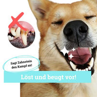 Produktbild von BeG Buddy Dentalspray zur Zahnpflege für Hunde gegen Zahnstein und Maulgeruch 179 ml - 150 ml