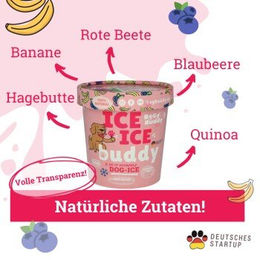 BeG Buddy Eispulver vegan und ohne Zucker 130g – Bild 1 von 2