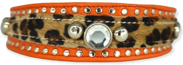 Bellerei Hundehalsband Kambuku aus Leder Größe 26 – Bild 1 von 2