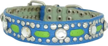 Bellerei Hundehalsband Nemo aus Leder in Blau und Grün – Bild 1 von 2