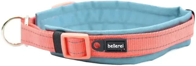 Bellerei Zugstopp Erziehungshalsband gepolstert mit Neopren – Bild 1 von 2