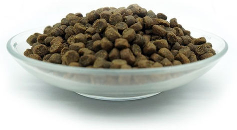 Bellfor Freiland-Schmaus Junior Trockenfutter mit Huhn für Welpen und junge Hunde getreidefrei 2,5 kg - 2,5 kg – Bild 1 von 13