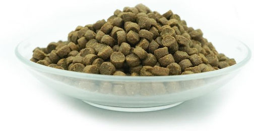 Bellfor Freiland-Schmaus Mini Hundefutter mit Huhn getreidefrei für kleine Hunderassen Adult 2,5 kg - 2,5 kg – Bild 1 von 7