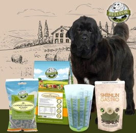 Bellfor Naturgut-Schmaus 4 Futterset für große Hunde mit Magen-Darm-Verdauungshilfe - 4,32 kg – Bild 1 von 5