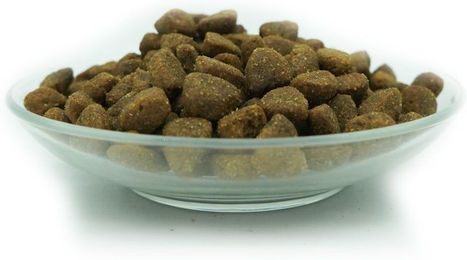Bellfor Premium PUR FleischPlus Hundefutter Adult Bio - 10 kg – Bild 1 von 7