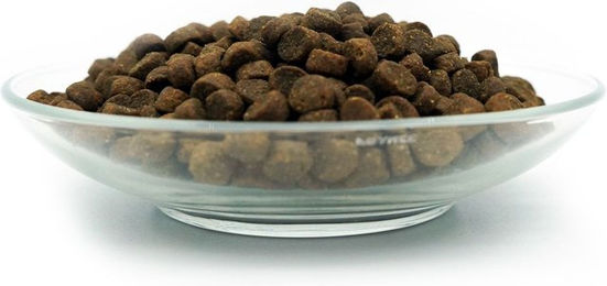 Bellfor Premium PUR Kids Hundefutter Trockenfutter für Welpen mit Huhn und Reis Glutenfrei 10 kg - 10 kg – Bild 1 von 7