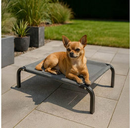 belviona Hundebett erhöht Outdoor-Hundeliege aus Metall und Mesh in Grau – Bild 1 von 5
