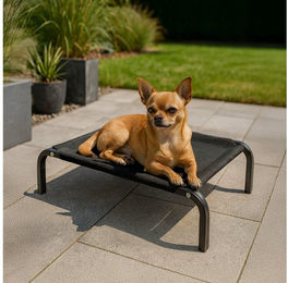 belviona Hundebett erhöht Outdoor-Hundeliege aus Metall und Mesh in Schwarz für erwachsene Hunde – Bild 1 von 4
