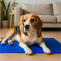 Produktbild von belviona Hundematte selbstkühlend blau aus Kunststoff wasserabweisend