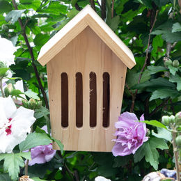 Bemalbares Schmetterlingshaus aus Holz von Antikas in Beige und Natur, 19,5 x 13,5 cm – Bild 1 von 5