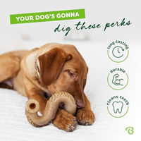Produktbild von Benebone Tripe Bone Kauspielzeug für kleine Hunde und Welpen mit Rinderkutteln