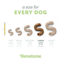 Produktbild von Benebone Tripe Bone Robustes Kauspielzeug für Hunde mit Kuttelgeschmack Large