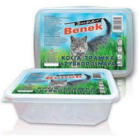 Produktbild von BENEK Katzengras Grasschale zur Unterstützung der Verdauung und gegen Haarballen 150g