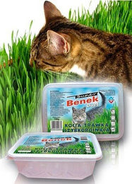 Produktbild von BENEK Katzengras Trichter aus transparentem Kunststoff