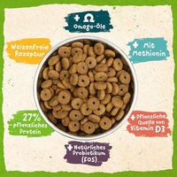 Produktbild von Benevo Veganes Hundefutter Adult - 4 x 2 kg