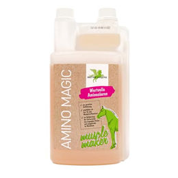 Bense & Eicke Amino Magic Aminosäuren und Vitamine zur Unterstützung des Muskelaufbaus für Pferde 1000 ml - 1000 ml – Bild 1 von 7