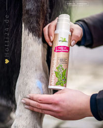 Produktbild von Bense & Eicke ArktisGel Kühlgel zur Pflege