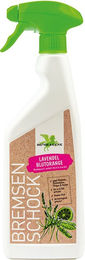 Bense & Eicke BremsenSchock Insektenschutzspray für Pferde Lavendel-Blutorange 500 ml - 500 ml – Bild 1 von 2