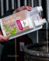 Produktbild von Bense & Eicke Ergänzungsfutter Vitamin E plus Selen Liquid 1 Liter