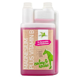 Bense & Eicke Magnesium plus Vitamin B Nahrungsergänzung flüssig 1000 ml – Bild 1 von 2