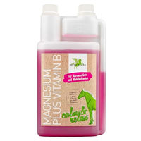 Produktbild von Bense & Eicke Magnesium plus Vitamin B Nahrungsergänzung flüssig 1000 ml