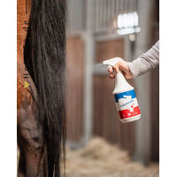 Produktbild von Bense & Eicke StarFinish Mähnenspray zur Mähnen- und Schweifpflege 1 Liter