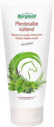 Bergland Pferdesalbe kühlend Naturkosmetik 200 ml – Bild 1 von 1