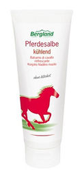 Bergland Pferdesalbe kühlend zur Wundpflege 100 ml – Bild 1 von 1