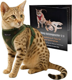Beroni Katzengeschirr Easy Walking 2.0 ausbruchsicher und verstellbar für Katzen – Bild 1 von 5