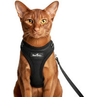 Produktbild von Beroni Katzengeschirr mit Leine ausbruchsicher und reflektierend für erwachsene Katzen
