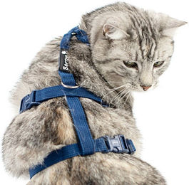 Beroni Safety Harness Classic Ausbruchsicheres Sicherheitsgeschirr für Katzen – Bild 1 von 3