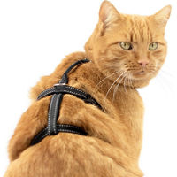 Produktbild von Beroni Safety Harness Pro Ausbruchsicheres Sicherheitsgeschirr für Katzen und Hunde mit Reflektoren