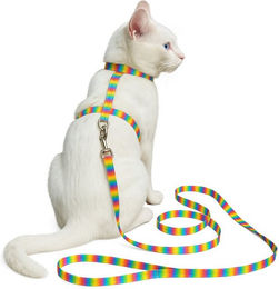Beroni Sicherheitsgeschirr für Katzen mit 150 cm Leine verstellbar und leicht – Bild 1 von 2