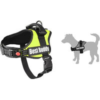 Produktbild von Best Buddy Pluto Hundegeschirr Flamingo Grün XS Nylon