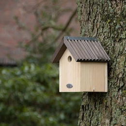 Best For Birds Nistkasten aus Holz für Meisen in Natur und Braun – Bild 1 von 6