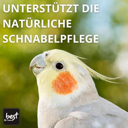Best For Home Vogelsand Quarzsand für Papageien und andere Vögel 5kg - 5 kg – Bild 1 von 2